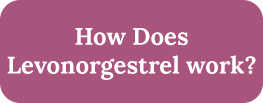 how-does-levonorgestrel-work.png